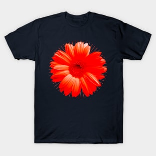 Flower Chakra Red T-Shirt